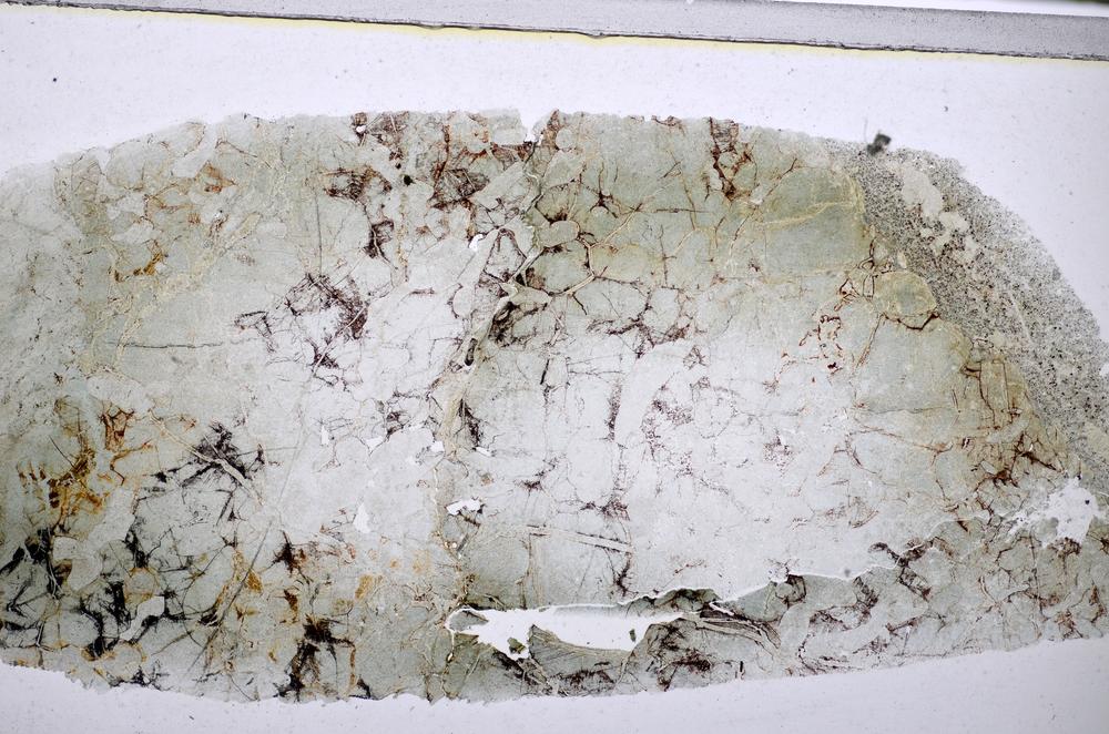 Plane Polarized, E47682/B