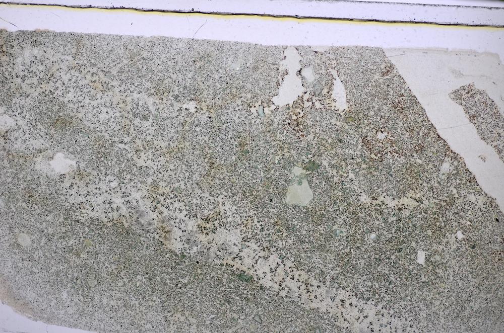 Plane Polarized, E47683