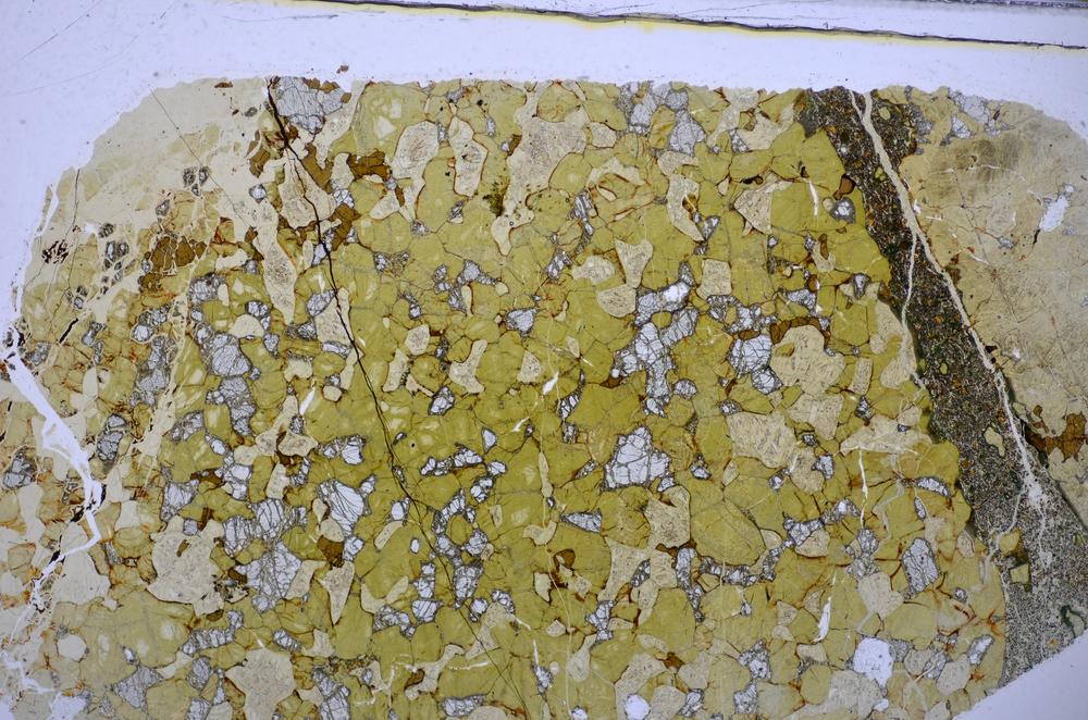 Plane Polarized, E47684