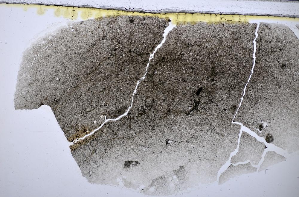 Plane Polarized, E47687/D