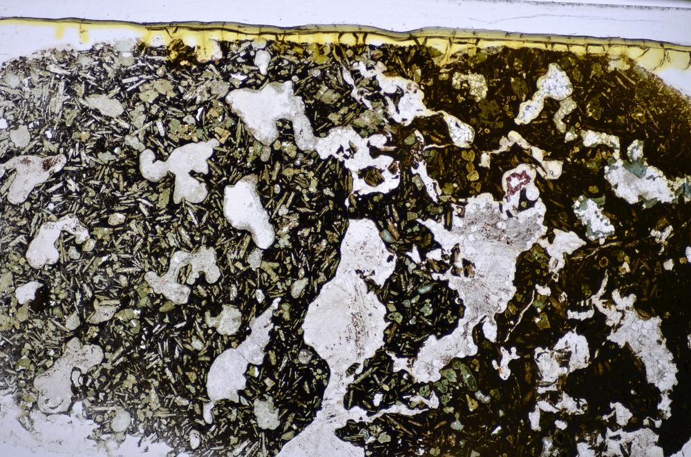 Plane Polarized, E47734