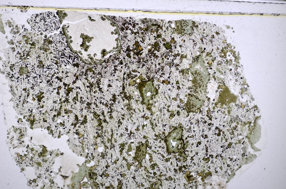 Plane Polarized, E47741