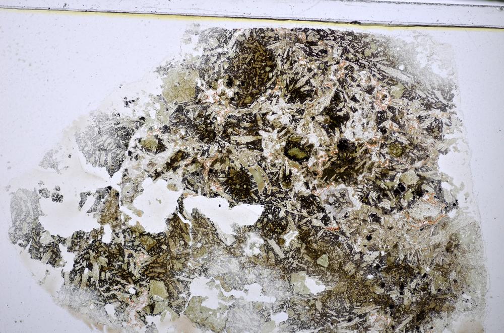 Plane Polarized, E47742