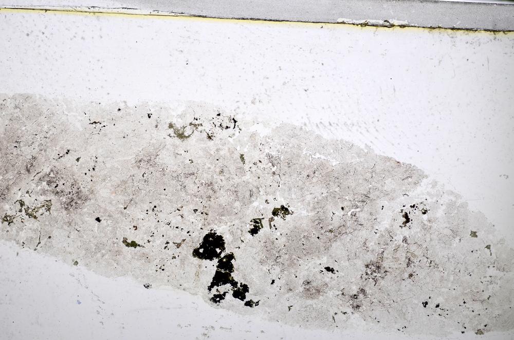 Plane Polarized, E47878