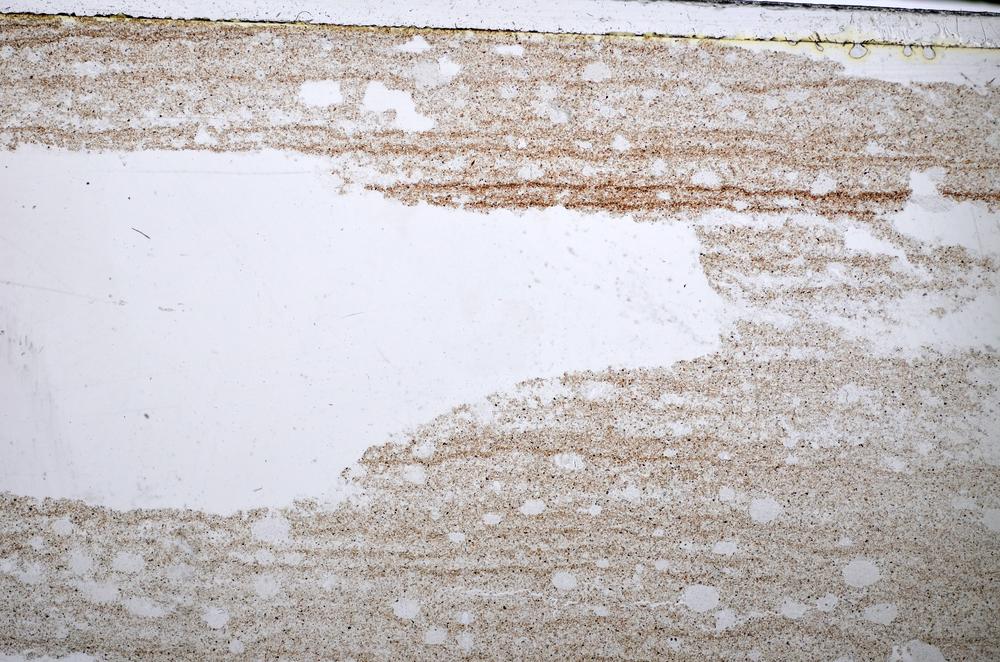 Plane Polarized, E47902/A