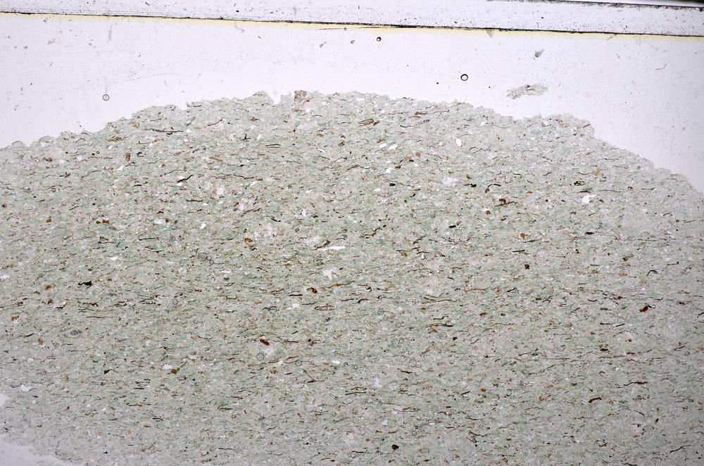 Plane Polarized, E48067