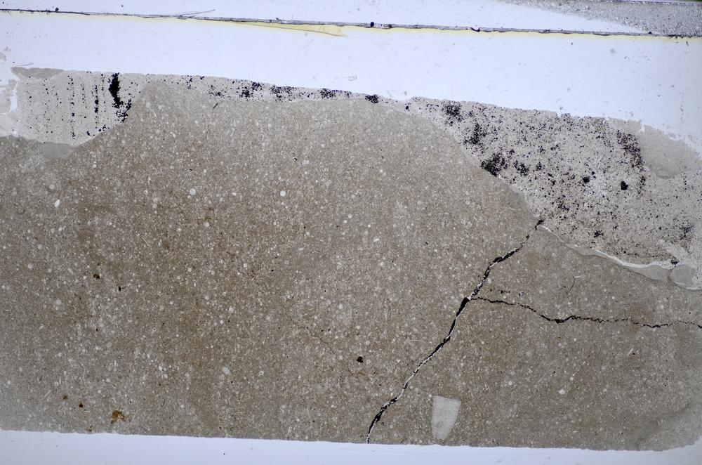 Plane Polarized, E48170