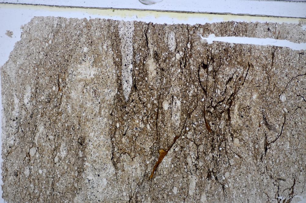 Plane Polarized, E48178