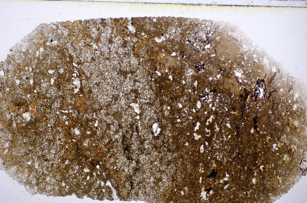 Plane Polarized, E48180