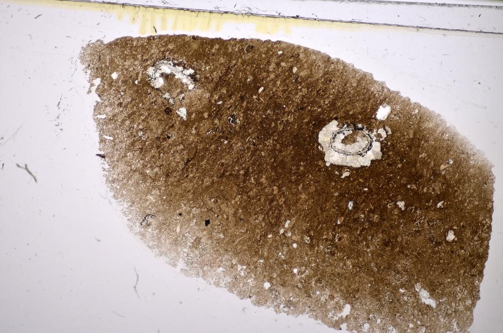 Plane Polarized, E48181