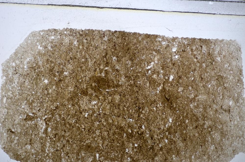 Plane Polarized, E48183