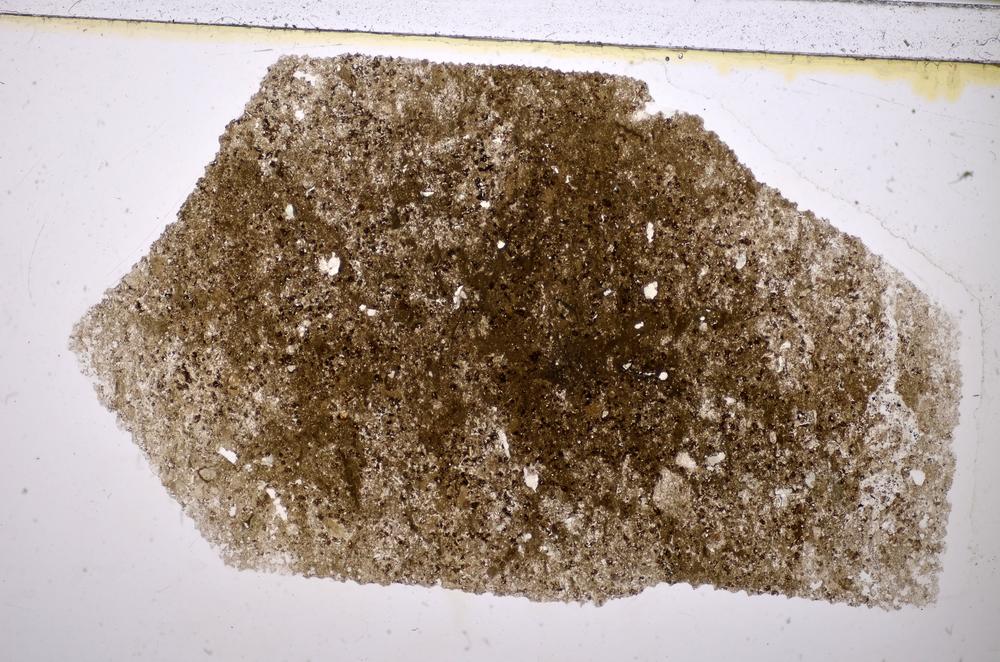 Plane Polarized, E48185