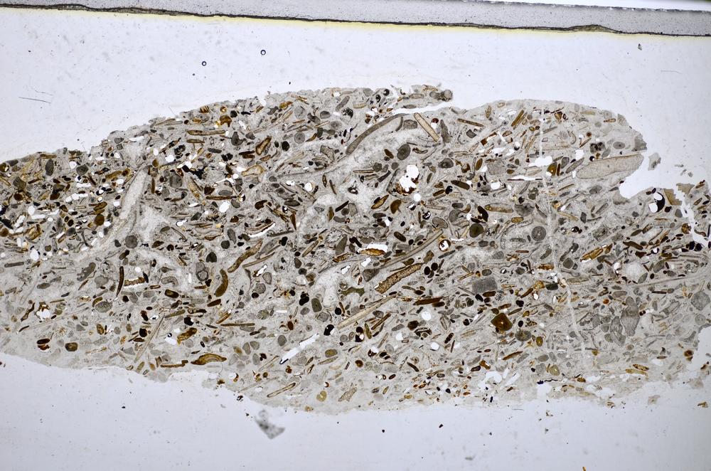 Plane Polarized, E48212