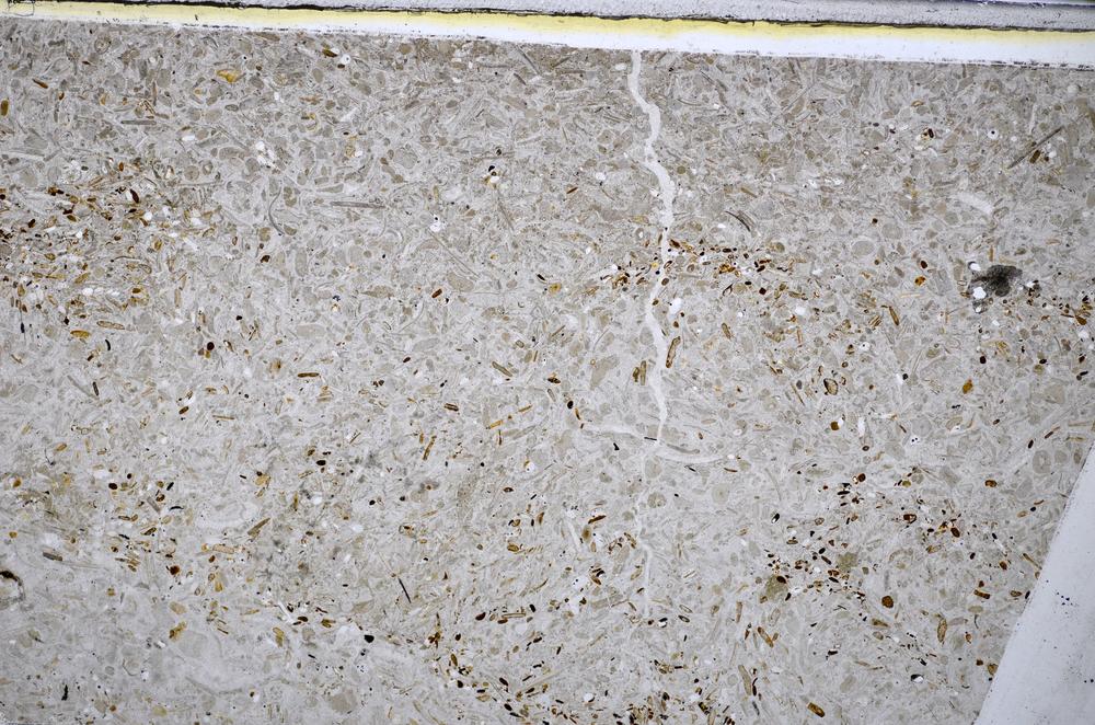 Plane Polarized, E48214