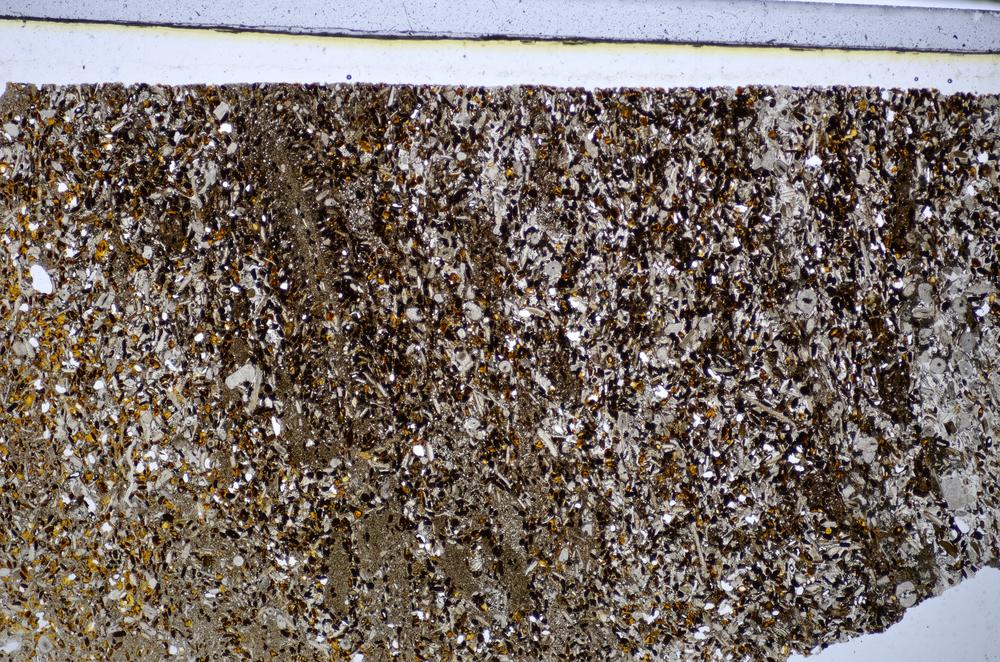 Plane Polarized, E48215