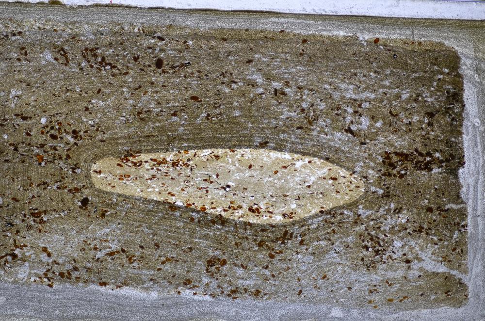 Plane Polarized, E48221