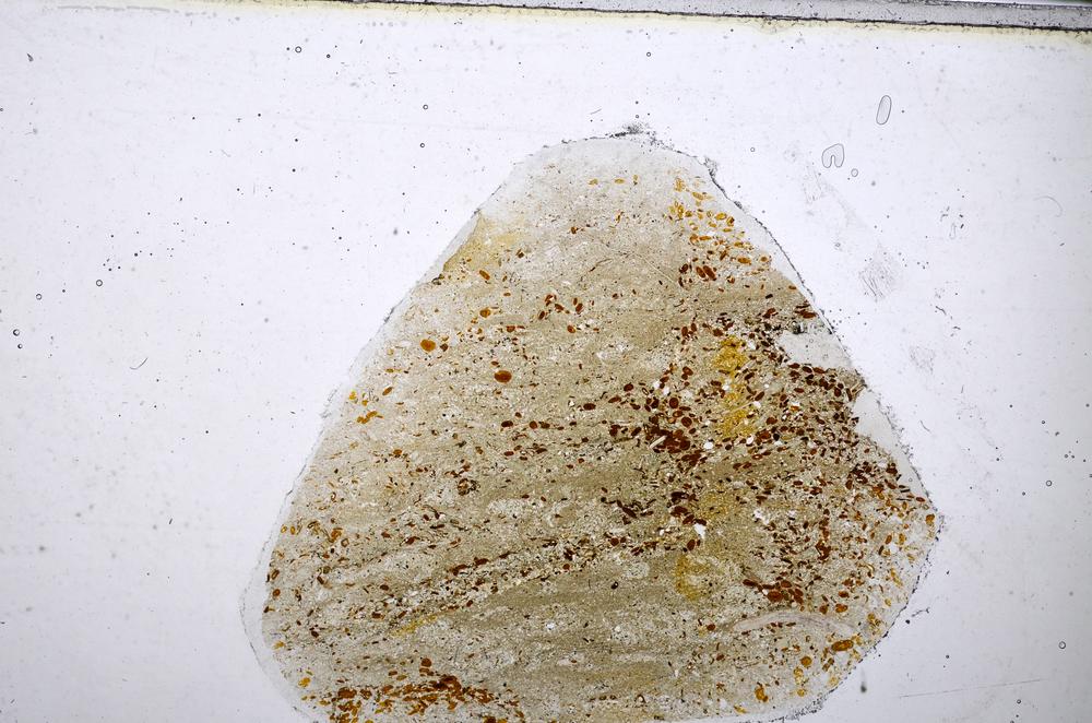 Plane Polarized, E48222