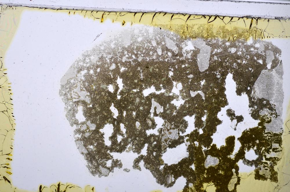 Plane Polarized, E48257