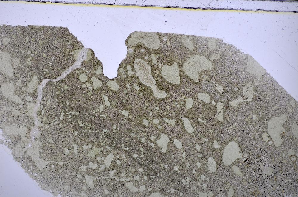 Plane Polarized, E48263