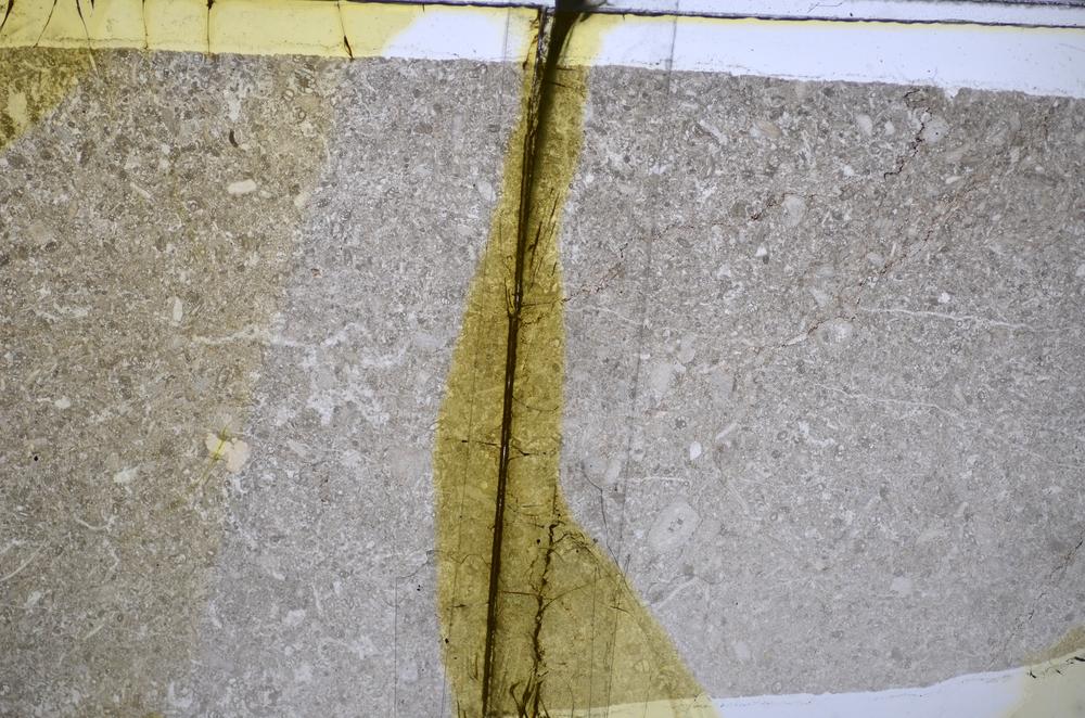 Plane Polarized, E48274