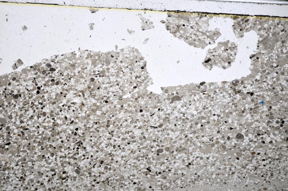 Plane Polarized, E48289