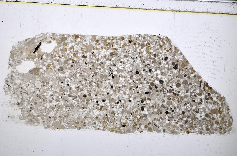 Plane Polarized, E48290