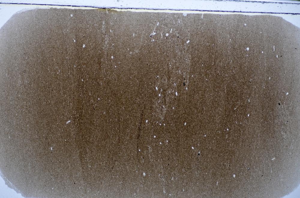 Plane Polarized, E48323