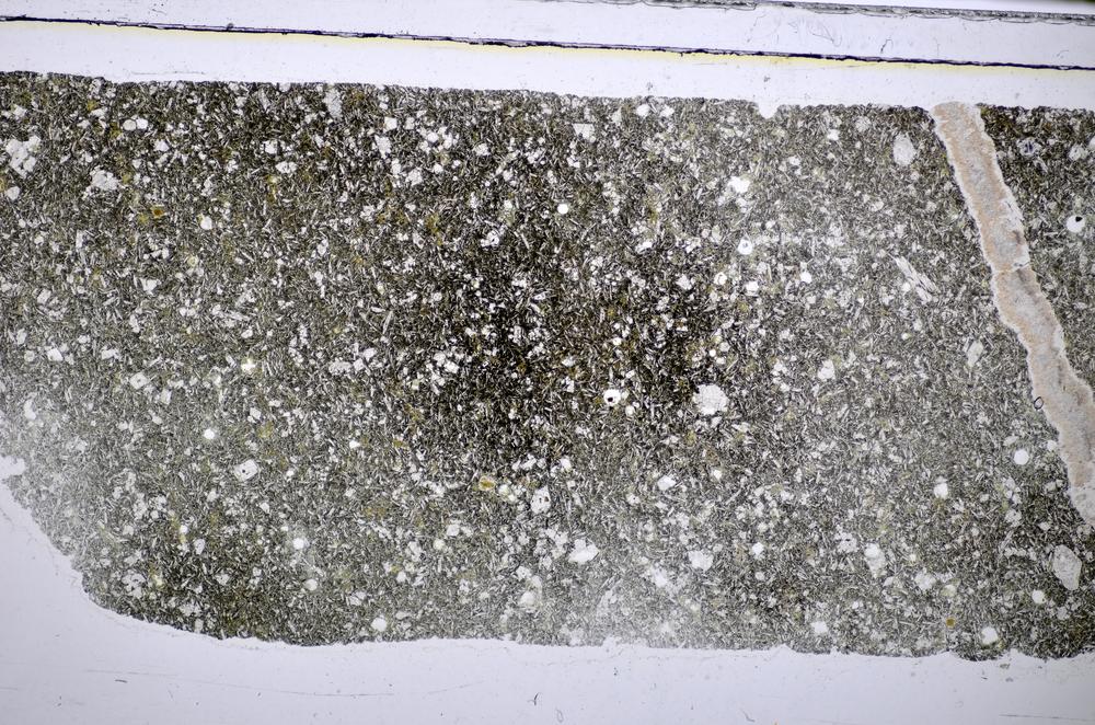 Plane Polarized, E48333
