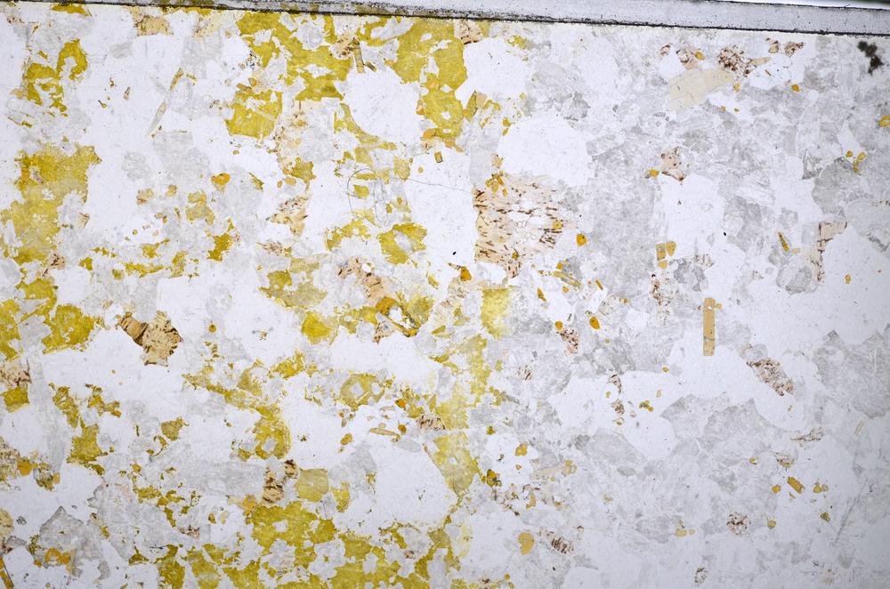 Plane Polarized, E48394