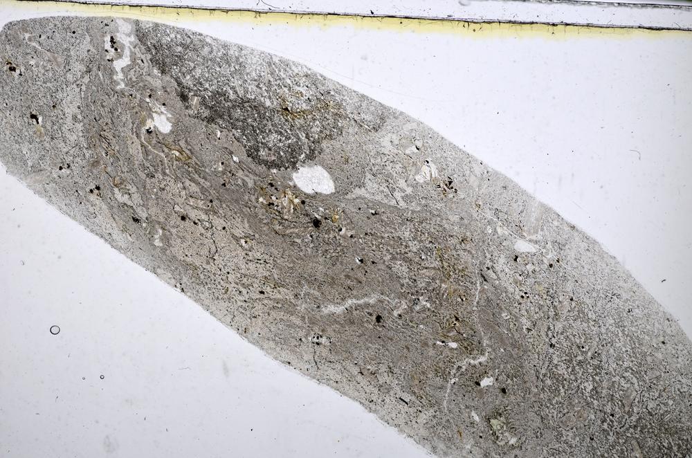 Plane Polarized, E48412