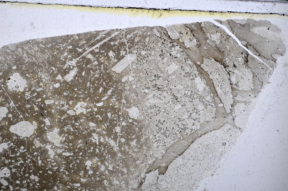 Plane Polarized, E48437