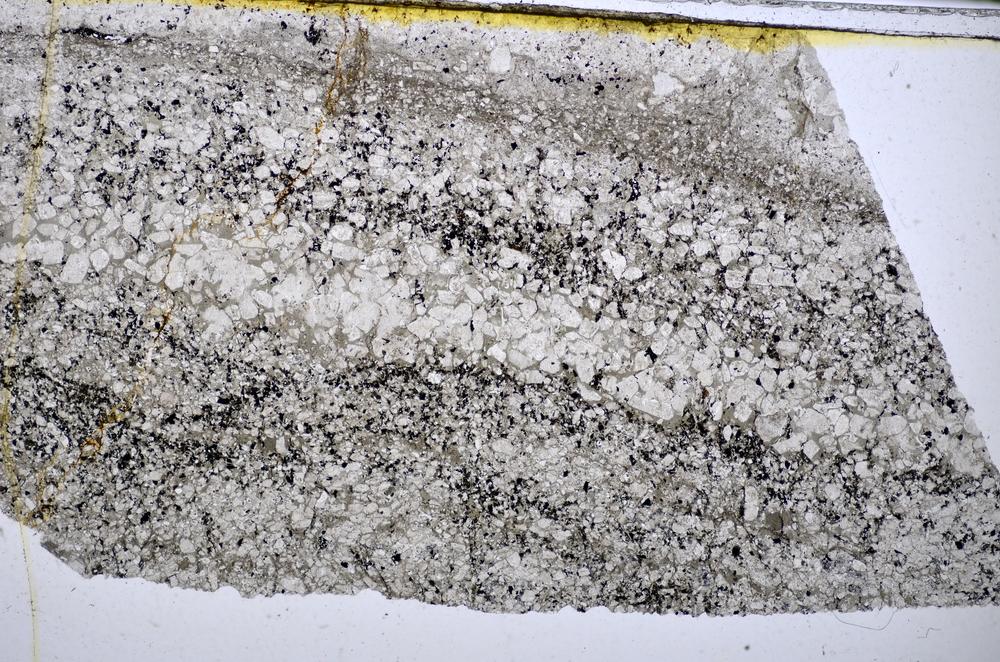 Plane Polarized, E48453