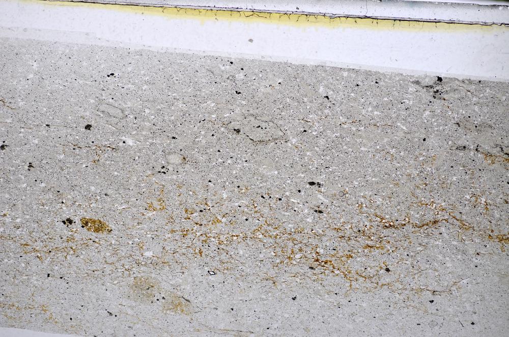 Plane Polarized, E48481