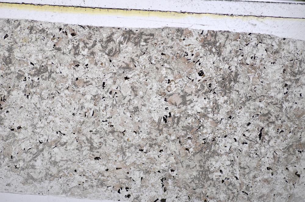 Plane Polarized, E48491