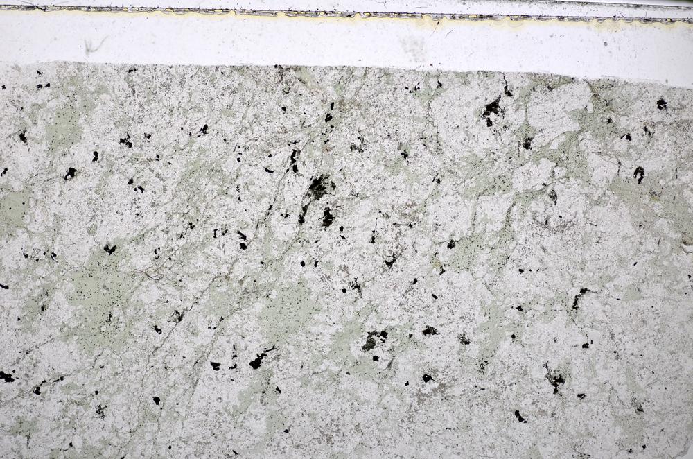 Plane Polarized, E48495