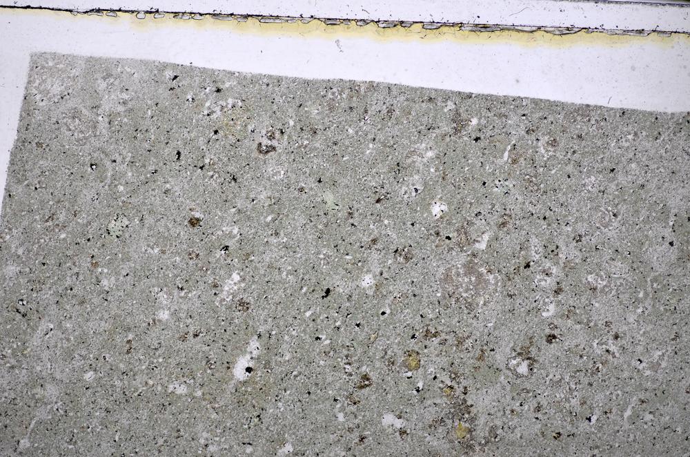 Plane Polarized, E48497