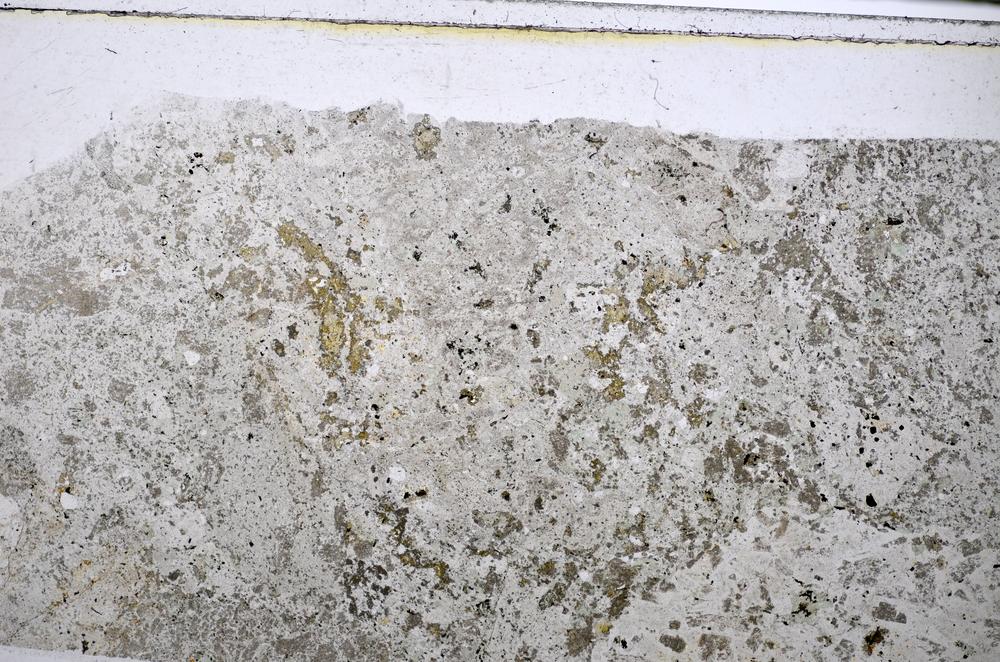 Plane Polarized, E48503