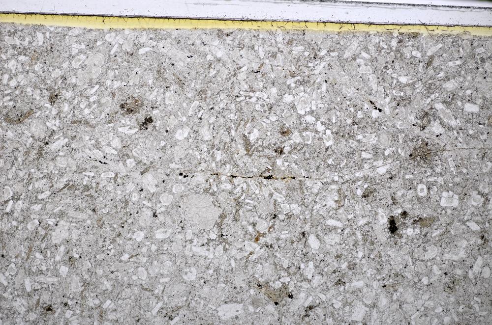 Plane Polarized, E48504