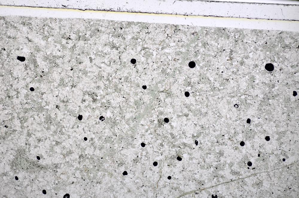 Plane Polarized, E48505