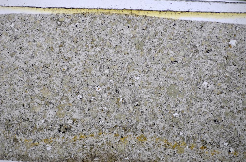 Plane Polarized, E48509