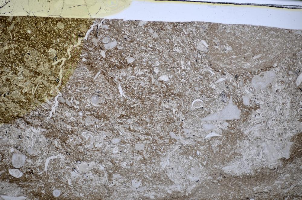 Plane Polarized, E48527