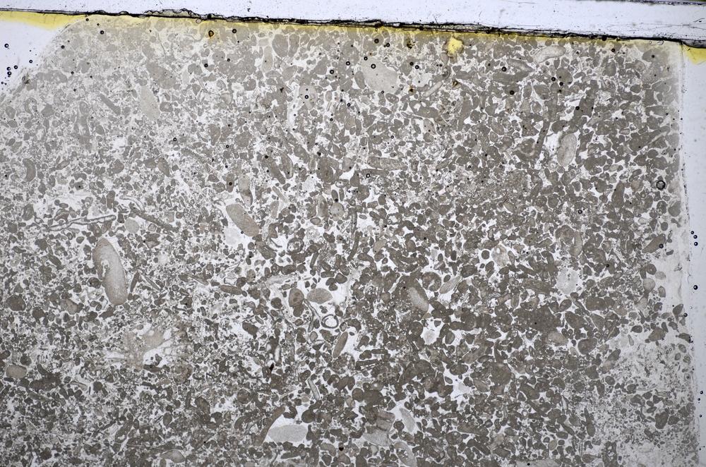 Plane Polarized, E48554