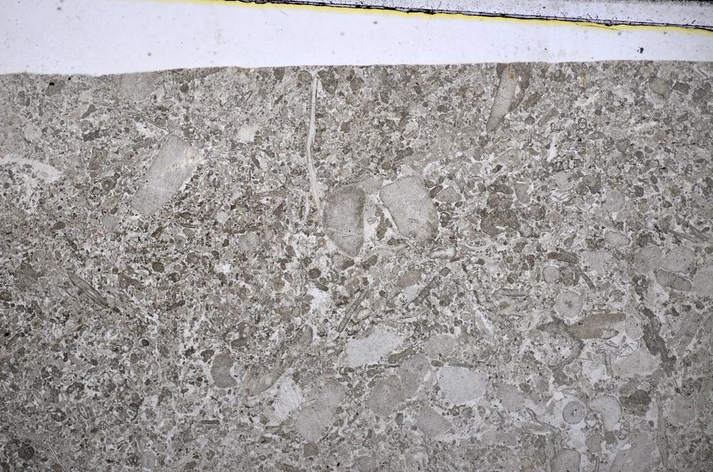 Plane Polarized, E48576