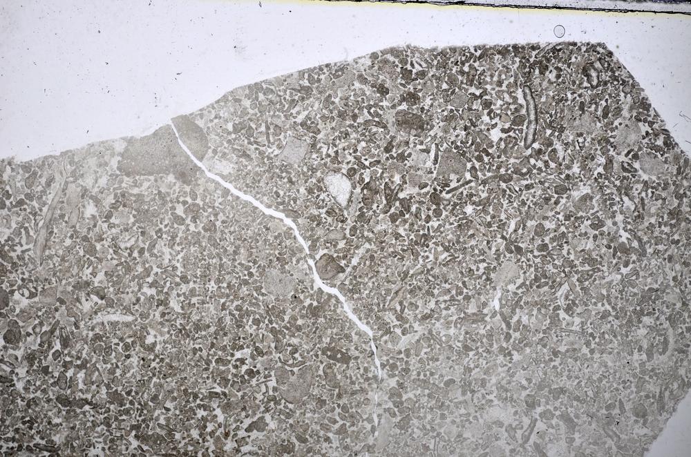 Plane Polarized, E48577