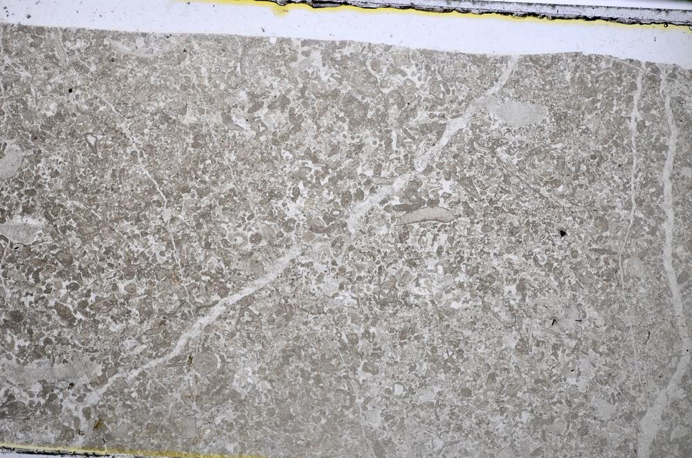 Plane Polarized, E48578