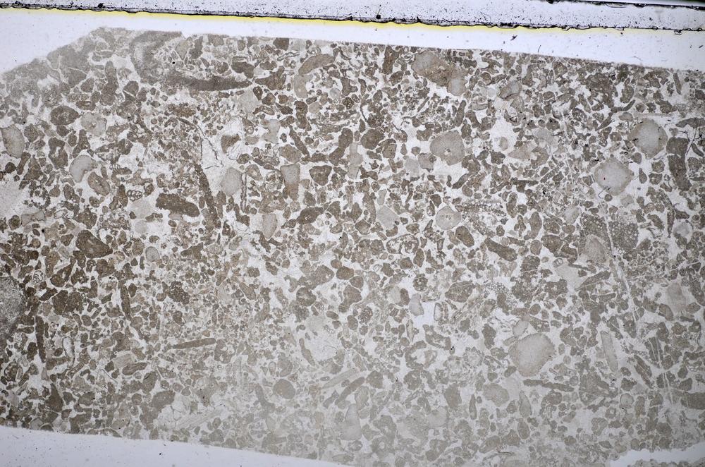 Plane Polarized, E48579