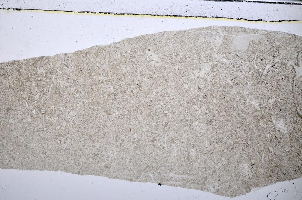 Plane Polarized, E48580