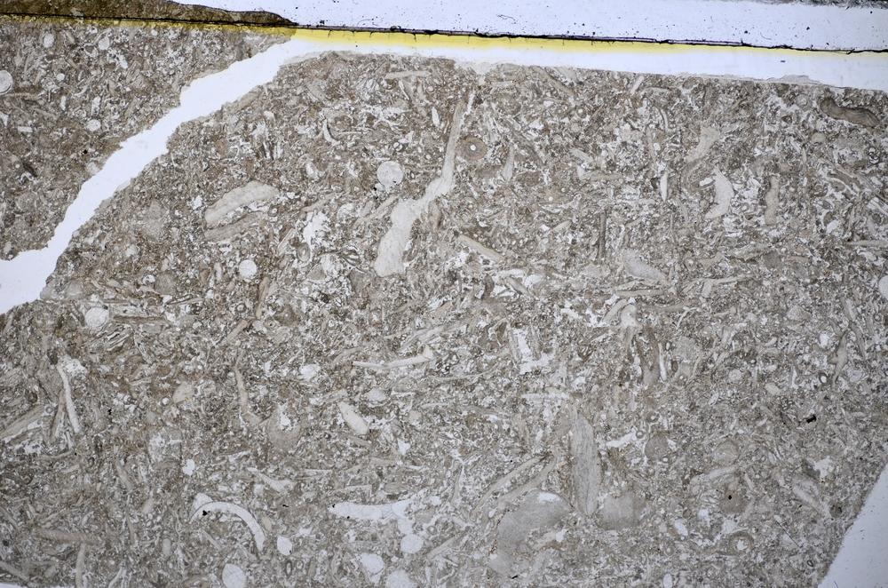 Plane Polarized, E48581