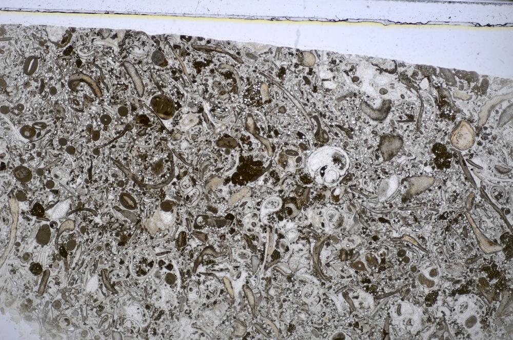 Plane Polarized, E48601