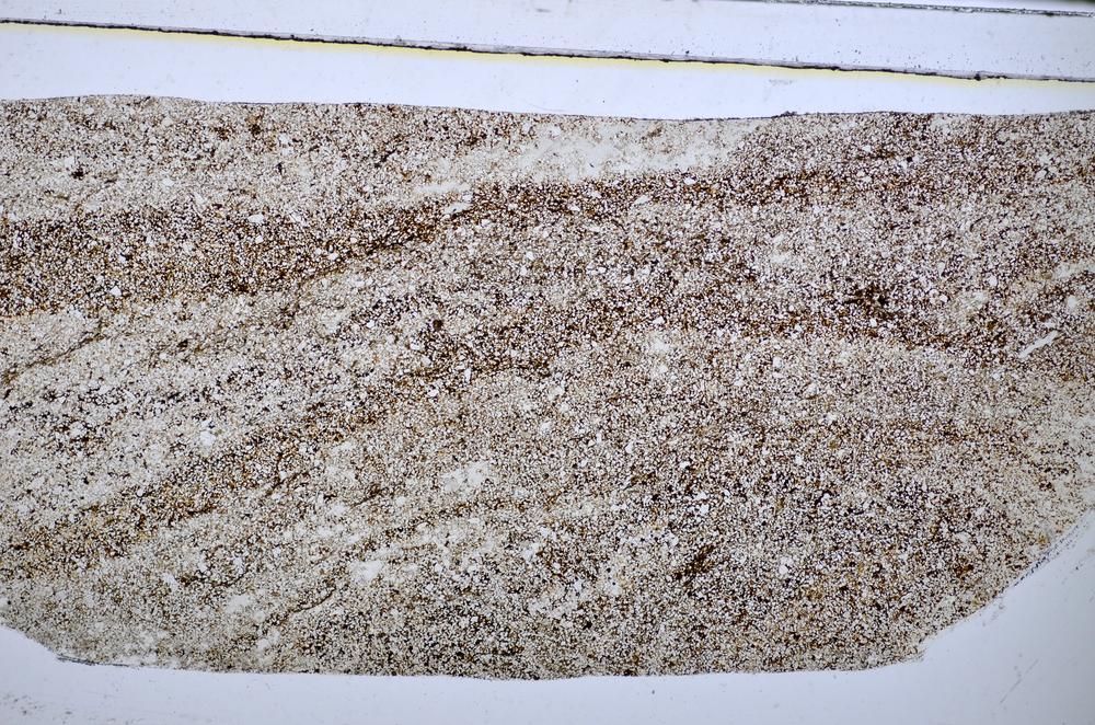 Plane Polarized, E48617